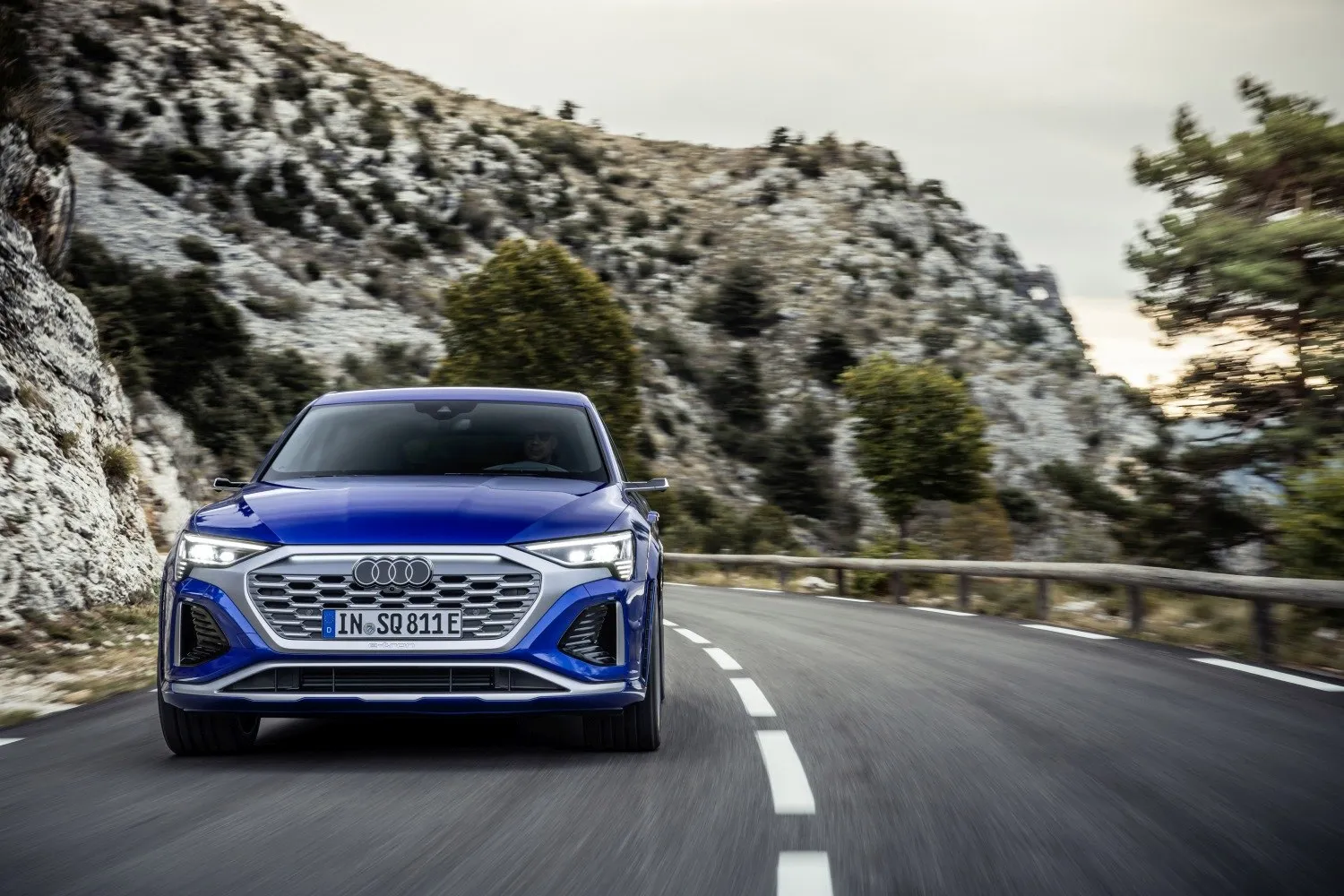 Audi Q8 e-tron 50 quattro Advanced (2022-2025)