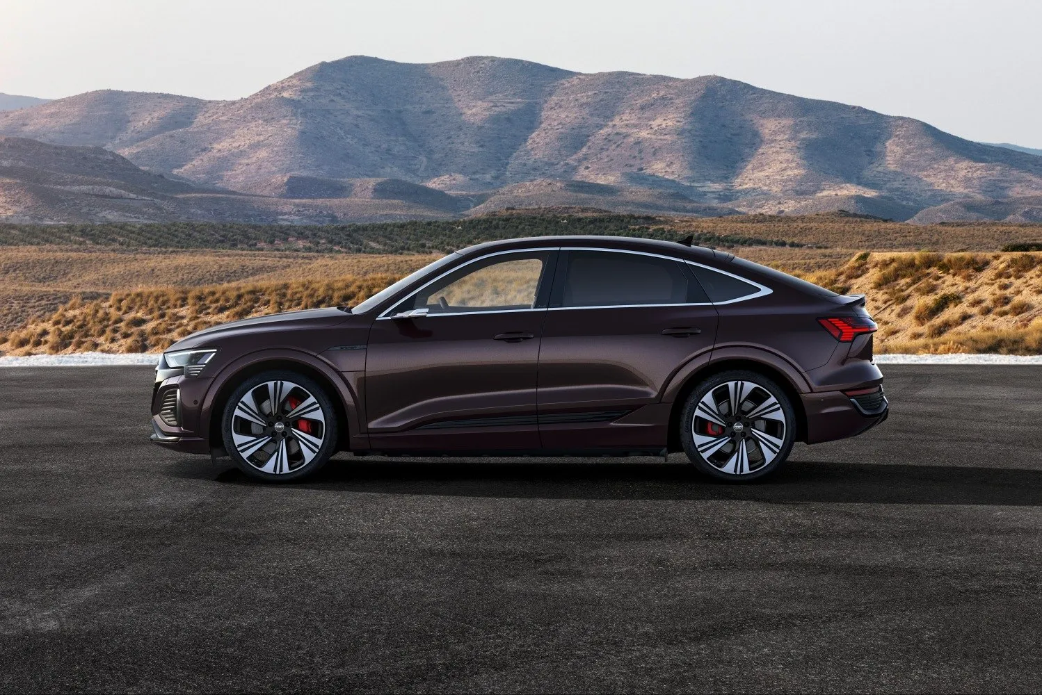 Audi Q8 Sportback e-tron 55 quattro Advanced (2022-2025)