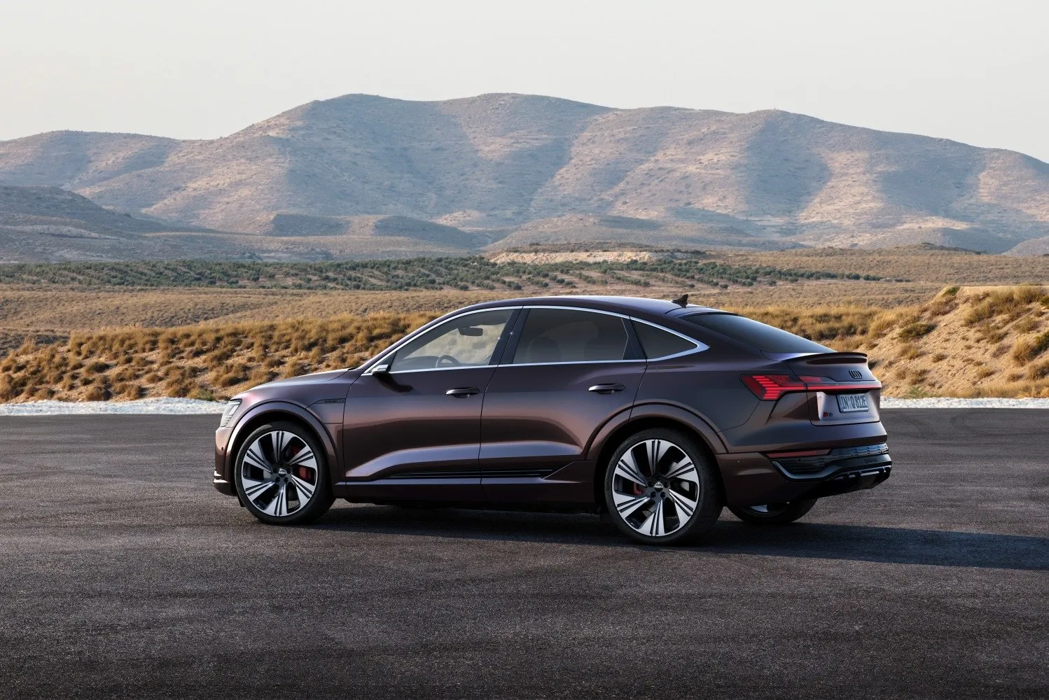Audi Q8 Sportback e-tron 55 quattro Advanced (2022-2025)