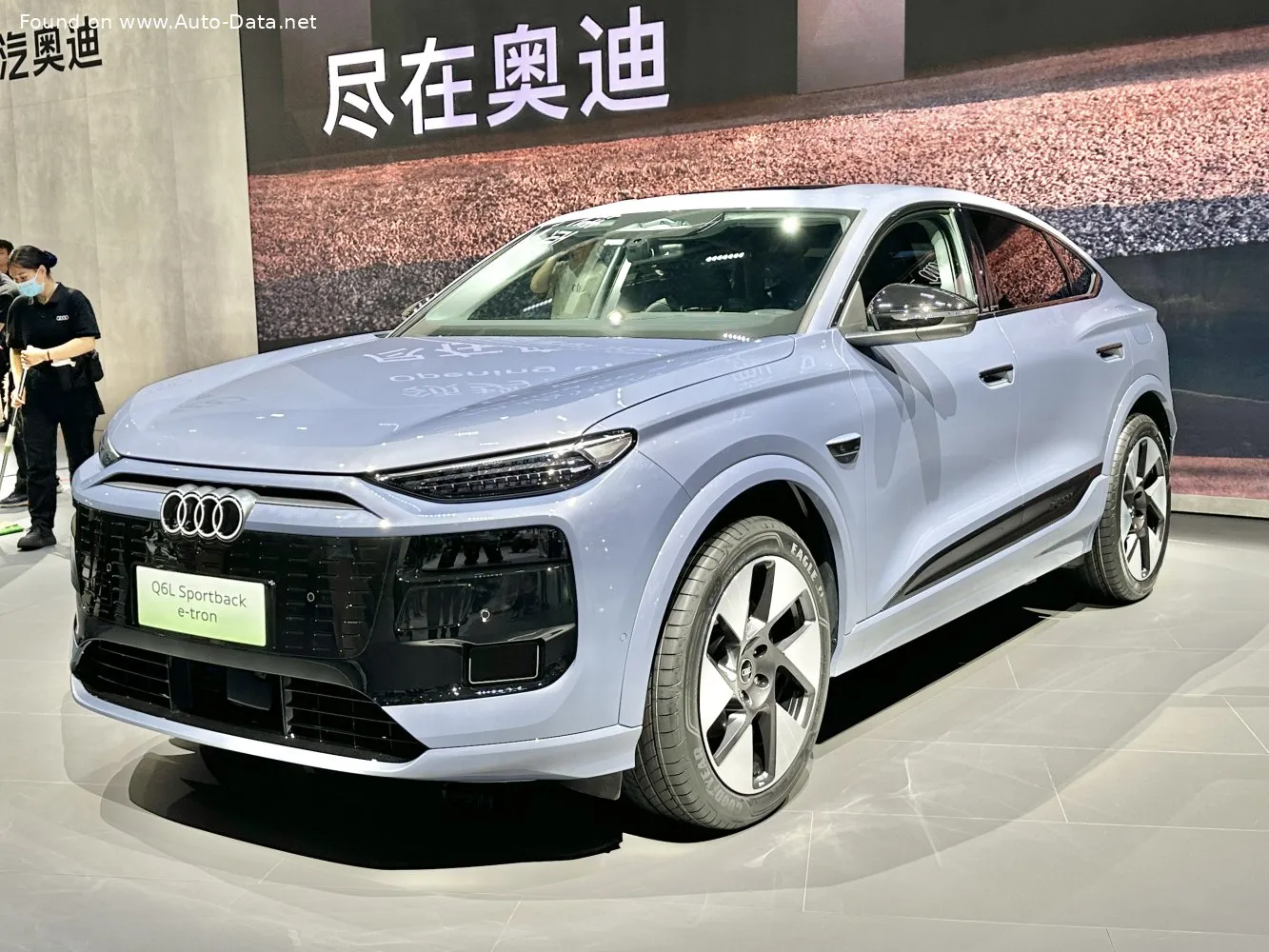 Audi Q6 Sportback e-tron S line (2024-2025)