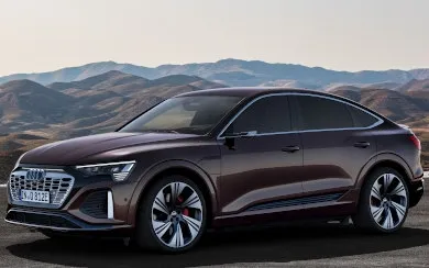 Audi Q8 Sportback e-tron 55 quattro S line (2022-2025)